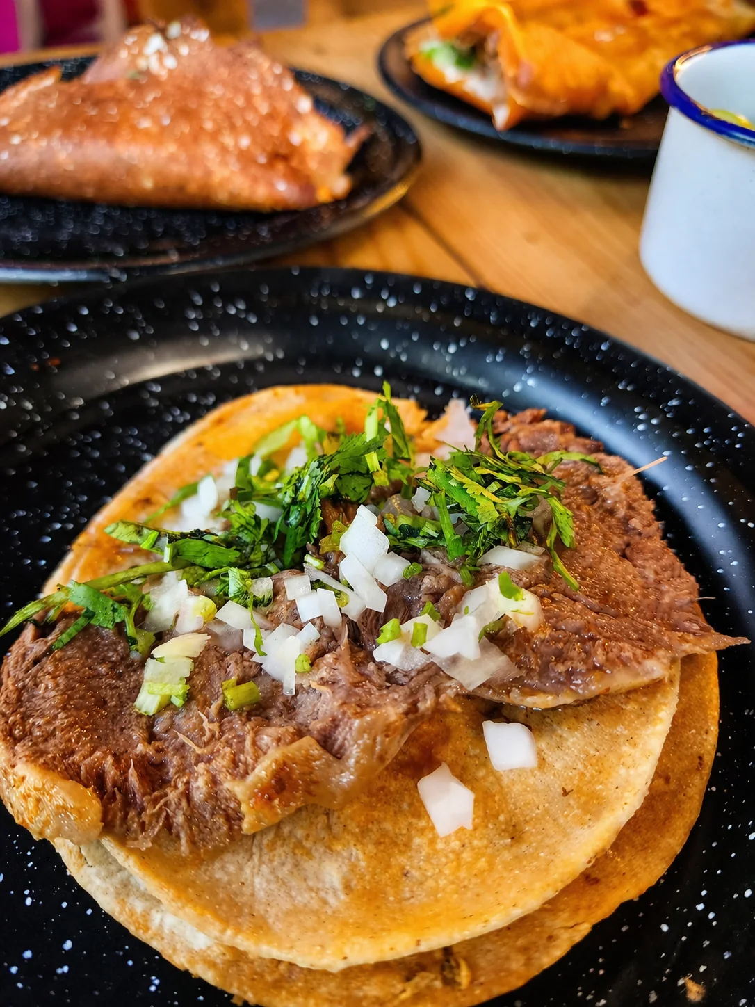 Fotografía gastronómica en primer plano de un taco servido con cebolla y cilantro en Birriería El Norteño